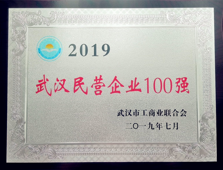 2019年武汉民营企业100强