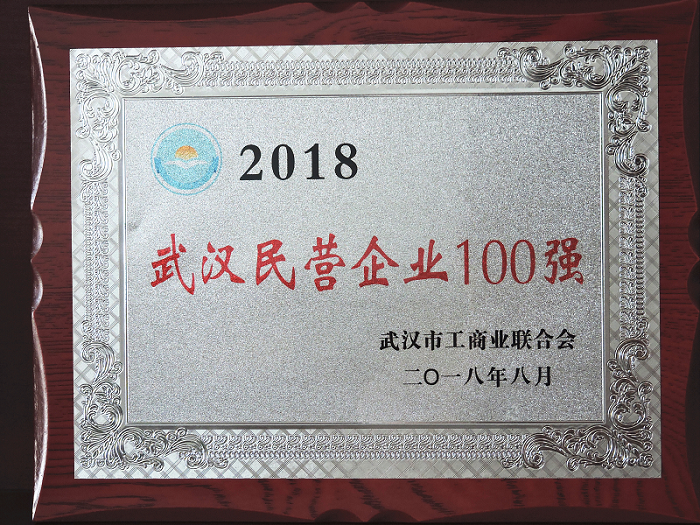 2018年武汉民营企业100强