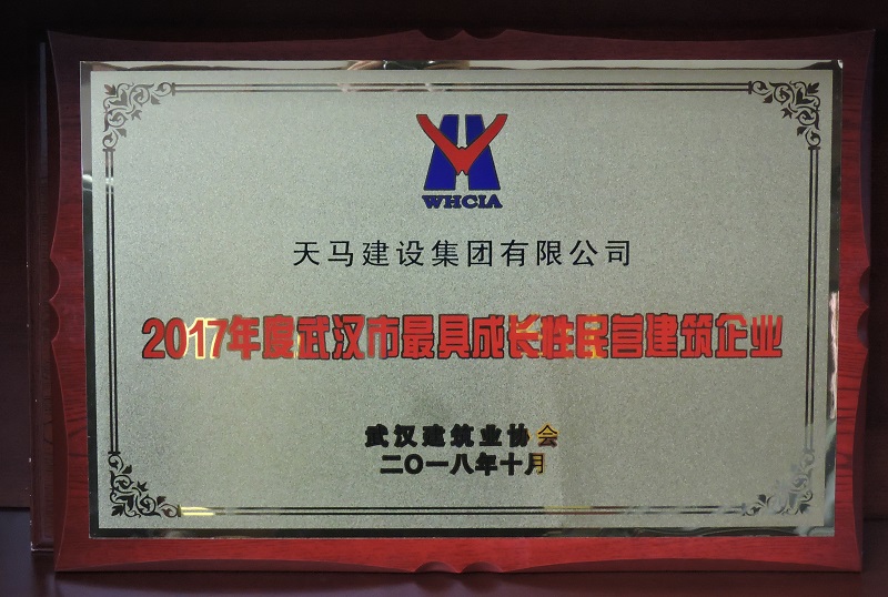 2017年度武汉市最具成长性民营企业（奖牌）