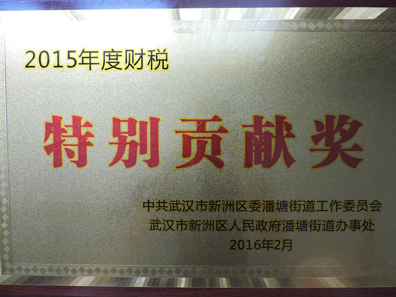 2015年度财税特别贡献奖
