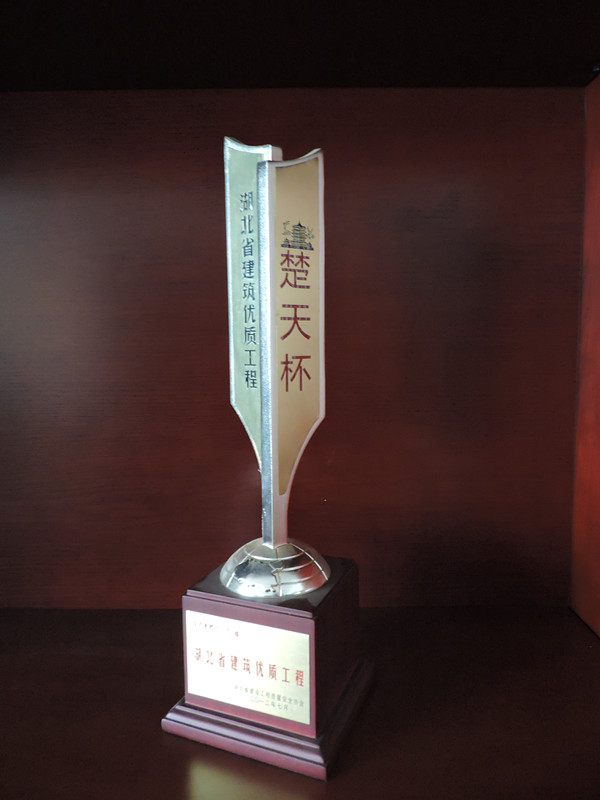 2012楚天杯奖