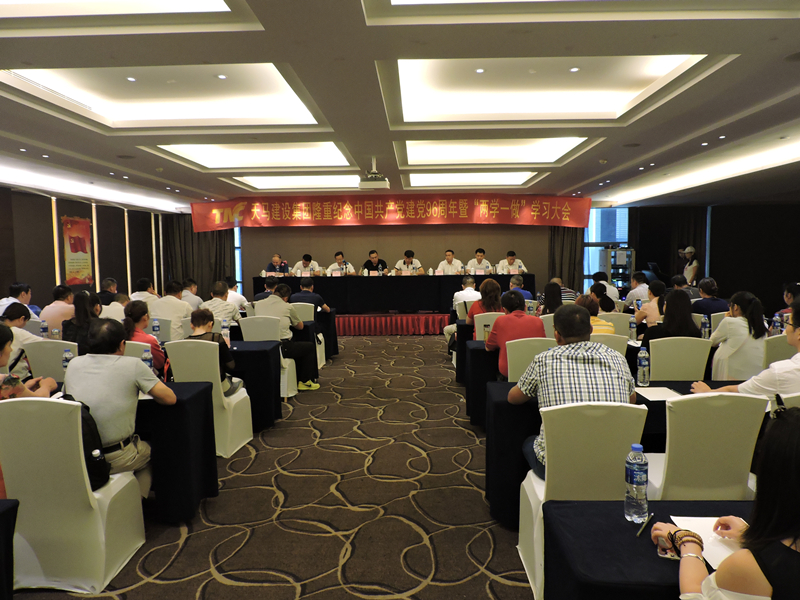 集团于贵阳隆重召开纪念中国共产党建党96周年暨“两学一做”学习会议