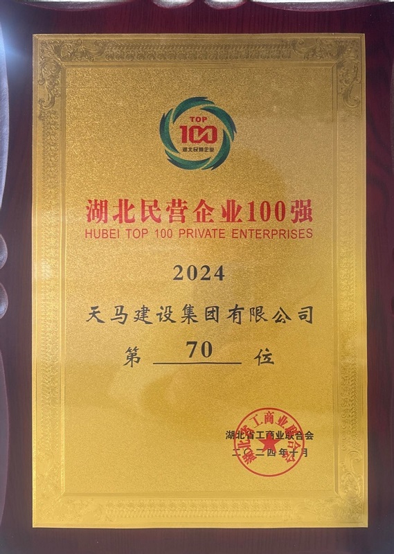 2024年湖北省民营百强