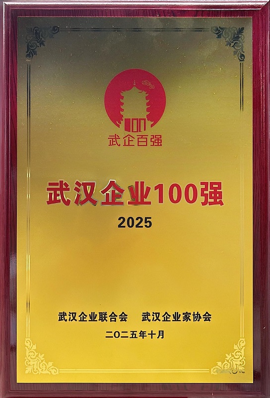 2025年武汉企业百强