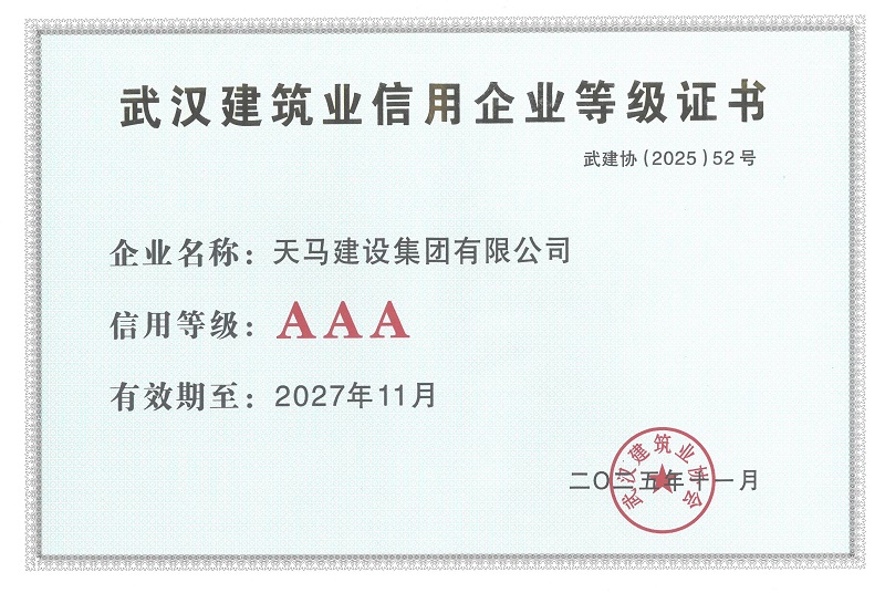 匠心铸就卓越 奋进谱写新篇——天马建设再获多项荣誉