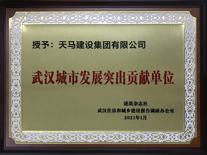 武汉城市发展突出贡献单位