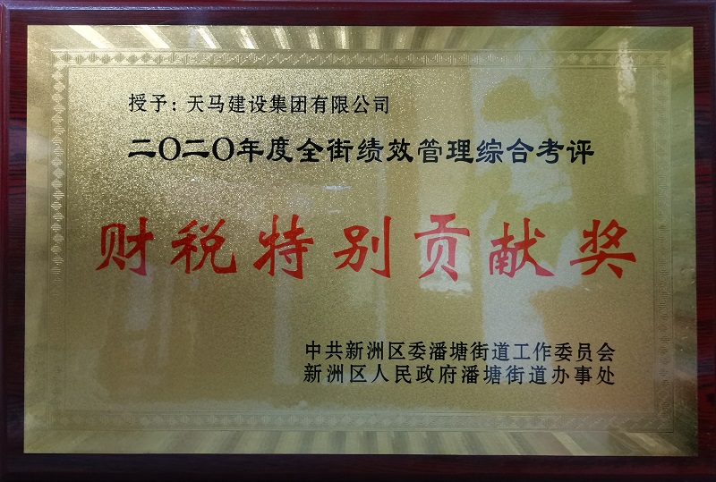 2020年度潘塘街绩效管理综合考评财税特别贡献奖