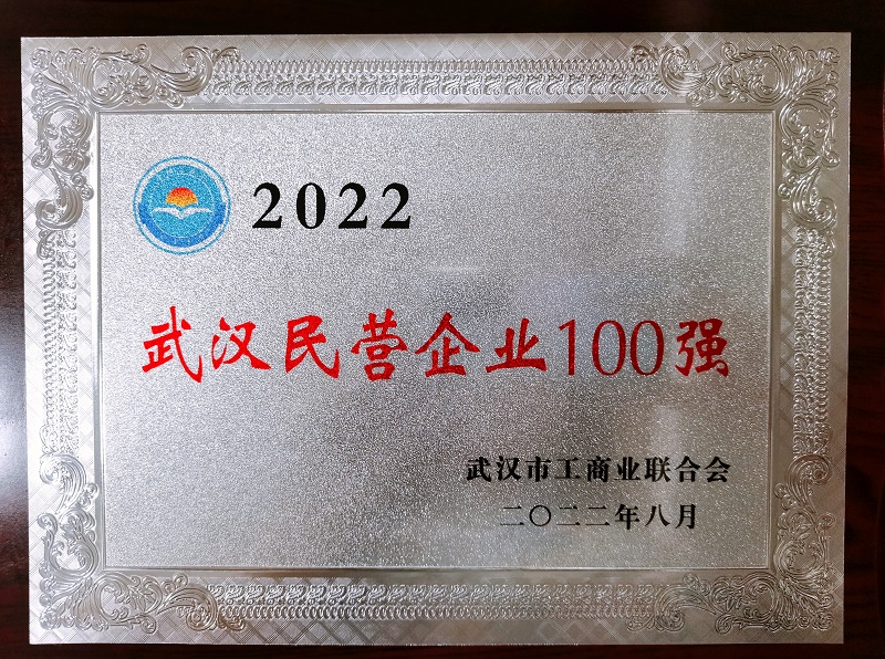 武汉民营百强39